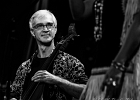 Pura Fe : 2014, ALEX MASSMEDIA, BIG DADDY WILSON, BLUES, CONCERT, ERIC BIBB, HARRISSIN KENNEDY, LARRY GARNER, MALTED MILK, MATHIS HAUG, NIKKI HILL, PURA FE, ROCK, RUTHIE FOSTER, SHAWN HOLT, SOUL, TASHA TAYLOR, TONI GREEN, TRIANON, WAYEN BAKER BROOKS