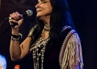 Pura Fe : 2014, ALEX MASSMEDIA, BIG DADDY WILSON, BLUES, CONCERT, ERIC BIBB, HARRISSIN KENNEDY, LARRY GARNER, MALTED MILK, MATHIS HAUG, NIKKI HILL, PURA FE, ROCK, RUTHIE FOSTER, SHAWN HOLT, SOUL, TASHA TAYLOR, TONI GREEN, TRIANON, WAYEN BAKER BROOKS