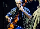 Pura Fe : 2014, ALEX MASSMEDIA, BIG DADDY WILSON, BLUES, CONCERT, ERIC BIBB, HARRISSIN KENNEDY, LARRY GARNER, MALTED MILK, MATHIS HAUG, NIKKI HILL, PURA FE, ROCK, RUTHIE FOSTER, SHAWN HOLT, SOUL, TASHA TAYLOR, TONI GREEN, TRIANON, WAYEN BAKER BROOKS