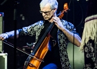 Pura Fe : 2014, ALEX MASSMEDIA, BIG DADDY WILSON, BLUES, CONCERT, ERIC BIBB, HARRISSIN KENNEDY, LARRY GARNER, MALTED MILK, MATHIS HAUG, NIKKI HILL, PURA FE, ROCK, RUTHIE FOSTER, SHAWN HOLT, SOUL, TASHA TAYLOR, TONI GREEN, TRIANON, WAYEN BAKER BROOKS