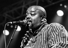 The New Blues Génération : Tasha Taylor, Wayne Baker Brooks, Shawn Holt, Russell Jackson (basse),  Jerry Porter (batterie) : 2014, ALEX MASSMEDIA, BIG DADDY WILSON, BLUES, CONCERT, ERIC BIBB, HARRISSIN KENNEDY, LARRY GARNER, MALTED MILK, MATHIS HAUG, NIKKI HILL, PURA FE, ROCK, RUTHIE FOSTER, SHAWN HOLT, SOUL, TASHA TAYLOR, TONI GREEN, TRIANON, WAYEN BAKER BROOKS