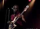 The New Blues Génération : Tasha Taylor, Wayne Baker Brooks, Shawn Holt, Russell Jackson (basse),  Jerry Porter (batterie) : 2014, ALEX MASSMEDIA, BIG DADDY WILSON, BLUES, CONCERT, ERIC BIBB, HARRISSIN KENNEDY, LARRY GARNER, MALTED MILK, MATHIS HAUG, NIKKI HILL, PURA FE, ROCK, RUTHIE FOSTER, SHAWN HOLT, SOUL, TASHA TAYLOR, TONI GREEN, TRIANON, WAYEN BAKER BROOKS