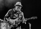 Bo Weavil : Matthieu Fromont (chant, guitare), Denis Agenet (batterie, washboard) : 2014, BLUES, BO WEAVIL, CONCERT, DENIS AGENET, FOLK, MATTHIEU FROMONT, TREMBLAY EN FRANCE
