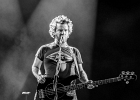 Guy Forsith ,  Jeff Botha (basse), Nina Singh Botha (batterie) : 2014, BLUES, CONCERT, FOLK, TREMBLAY EN FRANCE