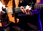 Guy Forsith ,  Jeff Botha (basse), Nina Singh Botha (batterie) : 2014, BLUES, CONCERT, FOLK, TREMBLAY EN FRANCE