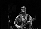Guy Forsith ,  Jeff Botha (basse), Nina Singh Botha (batterie) : 2014, BLUES, CONCERT, FOLK, TREMBLAY EN FRANCE