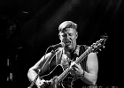 Guy Forsith ,  Jeff Botha (basse), Nina Singh Botha (batterie) : 2014, BLUES, CONCERT, FOLK, TREMBLAY EN FRANCE