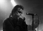 Jesus Volt : El Tao (guitare), Lord Tracy (chant), Fuzzy Bear (basse), Holy Bear (batterie)