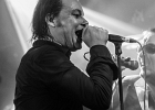 Jesus Volt : El Tao (guitare), Lord Tracy (chant), Fuzzy Bear (basse), Holy Bear (batterie)