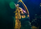 Layla Zoe (chant), Jan Laacks (guitare), Hardy Fischötter (batterie), Gregor Sonnenberg (basse) : 2014, BLUES ROCK, CONCERT, ESPACE PAUL.B, LAYLA ZOE, MASSY, ROCK