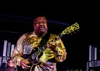 Andrew Jr. Boy Jones (guitare, chant), Mark Kaz Kazanoff (sax, harmo, chant), Kerrie Lepai (chant), Shawn Phares (claviers), Chris Jones (basse), Jamil Byrom (batterie) : 2014, BLUES, CHICAGO BLUES FESTIVAL, CONCERT, LE MERIDIEN