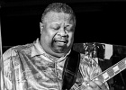 Andrew Jr. Boy Jones (guitare, chant), Mark Kaz Kazanoff (sax, harmo, chant), Kerrie Lepai (chant), Shawn Phares (claviers), Chris Jones (basse), Jamil Byrom (batterie) : 2014, BLUES, CHICAGO BLUES FESTIVAL, CONCERT, LE MERIDIEN