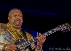 Andrew Jr. Boy Jones (guitare, chant), Mark Kaz Kazanoff (sax, harmo, chant), Kerrie Lepai (chant), Shawn Phares (claviers), Chris Jones (basse), Jamil Byrom (batterie) : 2014, BLUES, CHICAGO BLUES FESTIVAL, CONCERT, LE MERIDIEN