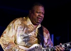 Andrew Jr. Boy Jones (guitare, chant), Mark Kaz Kazanoff (sax, harmo, chant), Kerrie Lepai (chant), Shawn Phares (claviers), Chris Jones (basse), Jamil Byrom (batterie) : 2014, BLUES, CHICAGO BLUES FESTIVAL, CONCERT, LE MERIDIEN