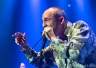 Nico Wayne Toussaint (chant, harmonica), Florian Royo (guitare), Antoine Perrut (basse, saxophone), Guillaume Destarac (batterie) : 2015, BLUES, BLUES ROCK, CONCERT, ESPACE PAUL.B, MASSY, NICO WAYNE TOUSSAINT, SOUL