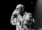 Nico Wayne Toussaint (chant, harmonica), Florian Royo (guitare), Antoine Perrut (basse, saxophone), Guillaume Destarac (batterie) : 2015, BLUES, BLUES ROCK, CONCERT, ESPACE PAUL.B, MASSY, NICO WAYNE TOUSSAINT, SOUL