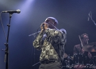 Nico Wayne Toussaint (chant, harmonica), Florian Royo (guitare), Antoine Perrut (basse, saxophone), Guillaume Destarac (batterie) : 2015, BLUES, BLUES ROCK, CONCERT, ESPACE PAUL.B, MASSY, NICO WAYNE TOUSSAINT, SOUL