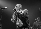 Nico Wayne Toussaint (chant, harmonica), Florian Royo (guitare), Antoine Perrut (basse, saxophone), Guillaume Destarac (batterie) : 2015, BLUES, BLUES ROCK, CONCERT, ESPACE PAUL.B, MASSY, NICO WAYNE TOUSSAINT, SOUL