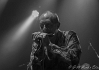 Nico Wayne Toussaint (chant, harmonica), Florian Royo (guitare), Antoine Perrut (basse, saxophone), Guillaume Destarac (batterie) : 2015, BLUES, BLUES ROCK, CONCERT, ESPACE PAUL.B, MASSY, NICO WAYNE TOUSSAINT, SOUL