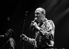 Nico Wayne Toussaint (chant, harmonica), Florian Royo (guitare), Antoine Perrut (basse, saxophone), Guillaume Destarac (batterie) : 2015, BLUES, BLUES ROCK, CONCERT, ESPACE PAUL.B, MASSY, NICO WAYNE TOUSSAINT, SOUL