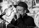 Matthew Skoller (chant, harmonica), Jérémie Tepper (guitare), Christophe Garreau (basse), Marty Vickers (batterie) : 2015, BLUES, CHAMPIGNY SUR MARNE, CONCERT, LE BELVEDERE, MATTHEW SKOLLER
