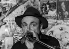 Matthew Skoller (chant, harmonica), Jérémie Tepper (guitare), Christophe Garreau (basse), Marty Vickers (batterie) : 2015, BLUES, CHAMPIGNY SUR MARNE, CONCERT, LE BELVEDERE, MATTHEW SKOLLER