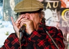 Matthew Skoller (chant, harmonica), Jérémie Tepper (guitare), Christophe Garreau (basse), Marty Vickers (batterie) avec Benoit Blue Boy en invité : 2015, BLUES, CHAMPIGNY SUR MARNE, CONCERT, LE BELVEDERE, MATTHEW SKOLLER