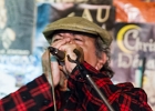 Matthew Skoller (chant, harmonica), Jérémie Tepper (guitare), Christophe Garreau (basse), Marty Vickers (batterie) avec Benoit Blue Boy en invité : 2015, BLUES, CHAMPIGNY SUR MARNE, CONCERT, LE BELVEDERE, MATTHEW SKOLLER