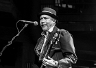 Van Wilks (guitare, chant), Francis Campello (basse), ? (batterie) : 2015, BILLY BOB'S, BLUES ROCK, CATCHOU, CONCERT, VAN WILKS
