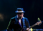 Van Wilks (guitare, chant), Francis Campello (basse), ? (batterie) : 2015, BILLY BOB'S, BLUES ROCK, CATCHOU, CONCERT, VAN WILKS