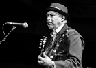 Van Wilks (guitare, chant), Francis Campello (basse), ? (batterie) : 2015, BILLY BOB'S, BLUES ROCK, CATCHOU, CONCERT, VAN WILKS
