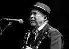 Van Wilks (guitare, chant), Francis Campello (basse), ? (batterie) : 2015, BILLY BOB'S, BLUES ROCK, CATCHOU, CONCERT, VAN WILKS