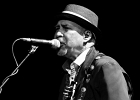 Van Wilks (guitare, chant), Francis Campello (basse), ? (batterie) : 2015, BILLY BOB'S, BLUES ROCK, CATCHOU, CONCERT, VAN WILKS