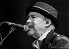 Van Wilks (guitare, chant), Francis Campello (basse), ? (batterie) : 2015, BILLY BOB'S, BLUES ROCK, CATCHOU, CONCERT, VAN WILKS