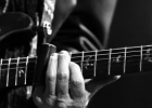 Van Wilks (guitare, chant), Francis Campello (basse), ? (batterie) : 2015, BILLY BOB'S, BLUES ROCK, CATCHOU, CONCERT, VAN WILKS