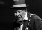 Van Wilks (guitare, chant), Francis Campello (basse), ? (batterie) : 2015, BILLY BOB'S, BLUES ROCK, CATCHOU, CONCERT, VAN WILKS