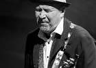 Van Wilks (guitare, chant), Francis Campello (basse), ? (batterie) : 2015, BILLY BOB'S, BLUES ROCK, CATCHOU, CONCERT, VAN WILKS