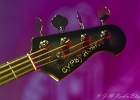 The Lilix and Didi Rock Band :  Lionel Riss (guitare), Didi (basse, batterie, chant), Lilix (basse, batterie, choeurs) : 2015, CONCERT, LES ULIS, RADAZIK, ROCK, THE LILIX AND DIDI ROCK BAND