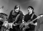 IMG 0103 : 2015, ALEXX MOOONSHINERS, CONCERT, LES ULIS, RADAZIK, THE LILIX AND DIDI ROCK BAND