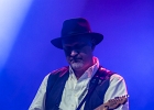 Hideaway : 2015, BELGIQUE, BLUES, BRUXELLES, CONCERT, COUNTRY, EUROPEAN BLUES CHALLENGE, HIDEAWAY, ROCK