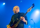 Fred and the Healers : 2015, BELGIQUE, BLUES, BRUXELLES, CONCERT, COUNTRY, EUROPEAN BLUES CHALLENGE, FRED AND THE HEALERS, ROCK