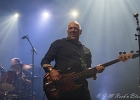 Fred and the Healers : 2015, BELGIQUE, BLUES, BRUXELLES, CONCERT, COUNTRY, EUROPEAN BLUES CHALLENGE, FRED AND THE HEALERS, ROCK