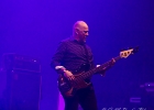 Fred and the Healers : 2015, BELGIQUE, BLUES, BRUXELLES, CONCERT, COUNTRY, EUROPEAN BLUES CHALLENGE, FRED AND THE HEALERS, ROCK