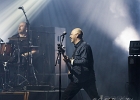 Fred and the Healers : 2015, BELGIQUE, BLUES, BRUXELLES, CONCERT, COUNTRY, EUROPEAN BLUES CHALLENGE, FRED AND THE HEALERS, ROCK