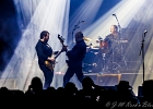 Fred and the Healers : 2015, BELGIQUE, BLUES, BRUXELLES, CONCERT, COUNTRY, EUROPEAN BLUES CHALLENGE, FRED AND THE HEALERS, ROCK