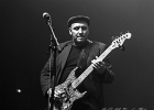 Eles Gabor Trio  - représentant de la Hongrie : 2015, BLUES, BRUXELLES, CONCERT, COUNTRY, EUROPEAN BLUES CHALLENGE, ROCK