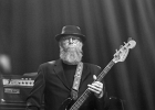 Lisa Lystam Family Band  - représentant de la Suède : 2015, BLUES, BRUXELLES, CONCERT, COUNTRY, EUROPEAN BLUES CHALLENGE, LISA LYSTAM FAMILY BAND, ROCK, SUEDE