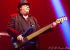 Micke Bjorklof and Blue Strip  - représentant de la Finlande : 2015, BLUES, BRUXELLES, CONCERT, COUNTRY, EUROPEAN BLUES CHALLENGE, ROCK