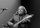 Travellin Brother   - représentant de l&#39;Espagne : 2015, BLUES, BRUXELLES, CONCERT, COUNTRY, EUROPEAN BLUES CHALLENGE, ROCK