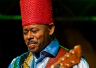 Lil&#39; Ed Williams (chant, guitare), Michael Garrett (guitare), Michael Scharff (basse),  Kelly Littleton (batterie) : 2015, BLUES, CONCERT, LIL ED AND THE BLUES IMPERIALS, NEW MORNING